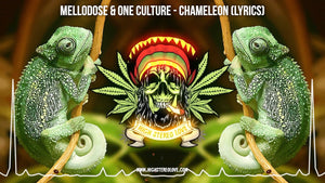 Mellodose & One Culture - Chameleon (Lyrics)