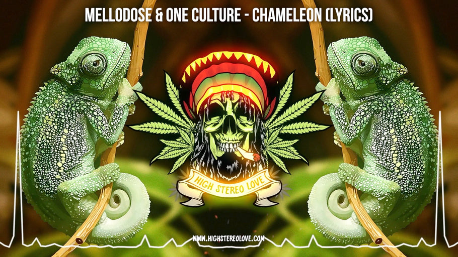 Mellodose & One Culture - Chameleon (Lyrics)