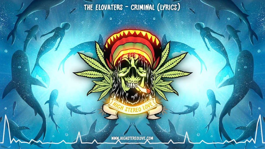 The Elovaters - Criminal (Lyrics)