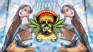 ELEVATE