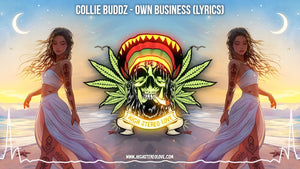 Collie Buddz - Own Business (Lyrics)