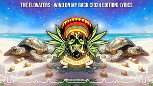 The Elovaters - Wind On My Back (Endless Summer Edition) Lyrics