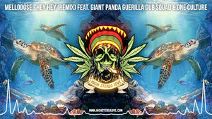 Mellodose - Hey Hey (Remix) Feat. Giant Panda Guerilla Dub Squad & One Culture (Lyrics)